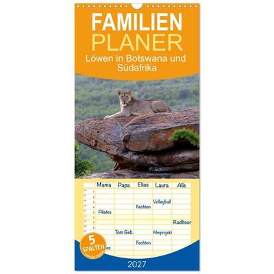 Familienplaner 2027 - Löwen in Botswana und Südafrika mit 5 Spalten (Wandkalender, 21 x 45 cm) CALVENDO