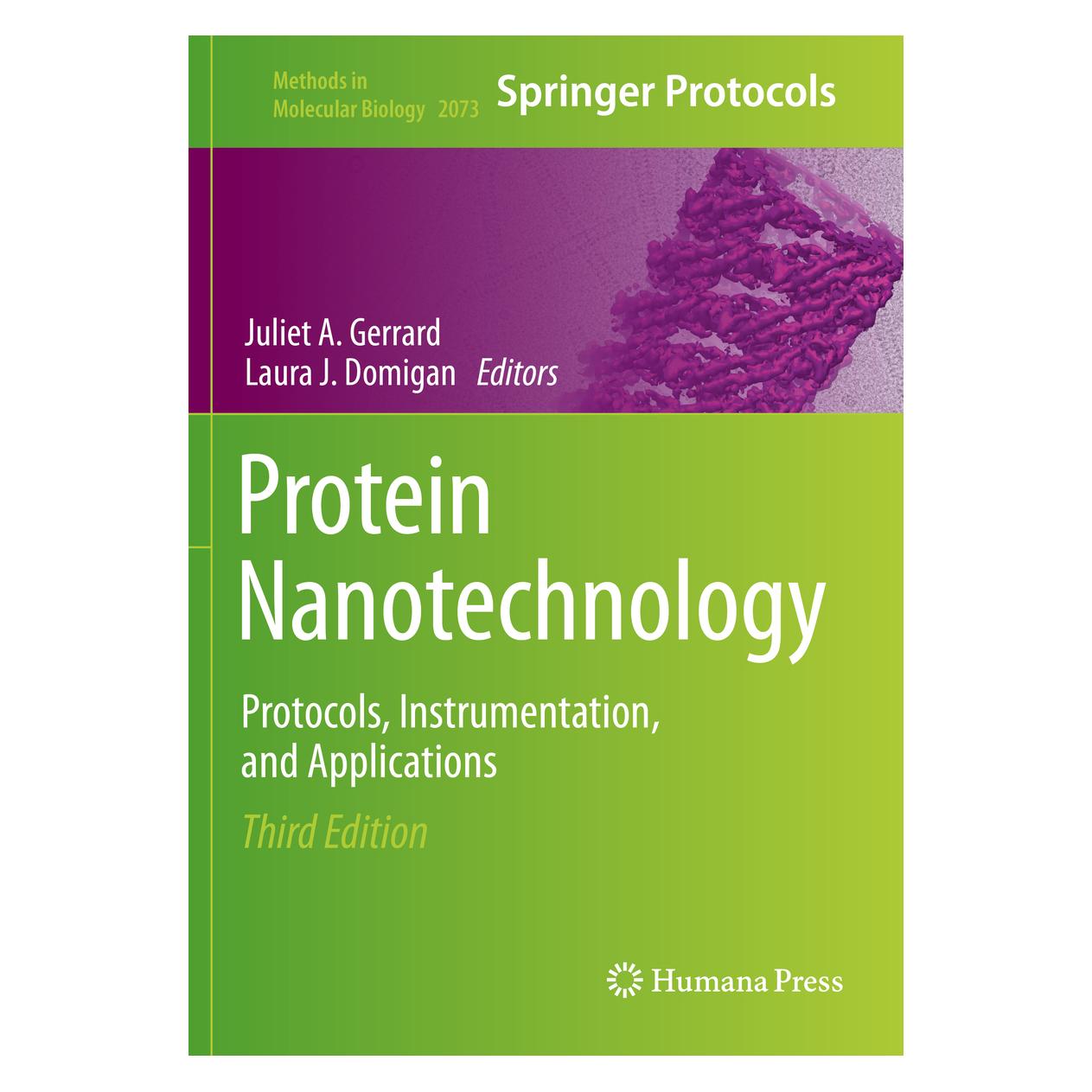 Springer Protein Nanotechnology (Englisch, Softcover, Juliet A. Gerrard, Laura J. Domigan) (56161133)