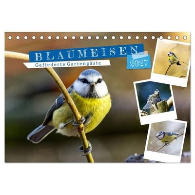 Gefiederte Gartengäste, Blaumeisen (Tischkalender 2027 DIN A5 quer), CALVENDO Monatskalender