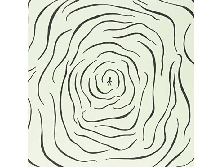 A Hallucination [12 inch Analog]