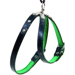Martin Sellier Hundenharnais verstellbar Rindsleder mit Nieten (Hund, Allgemein, Spazieren), Halsband + Leine