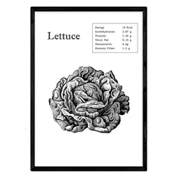 POSTER Lettuce A3 Rahmenlos