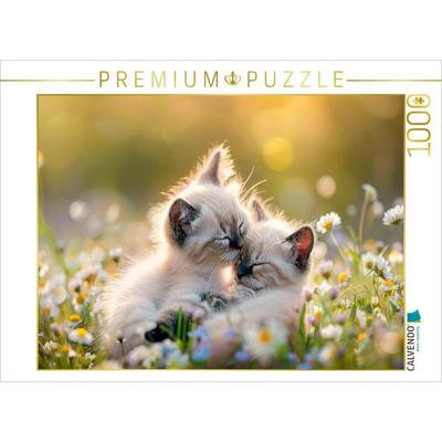 CALVENDO Puzzle Katzenbabys - Im Zauber des Augenblicks | 1000 Teile Lege-Größe 64x48cm Foto-Puzzle für glückliche Stunden, von , Calvendo Puzzle