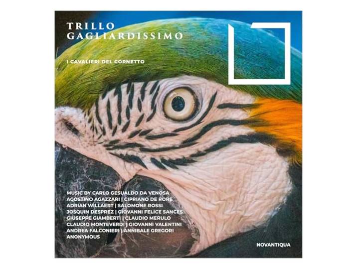Trillo Gagliardissimo