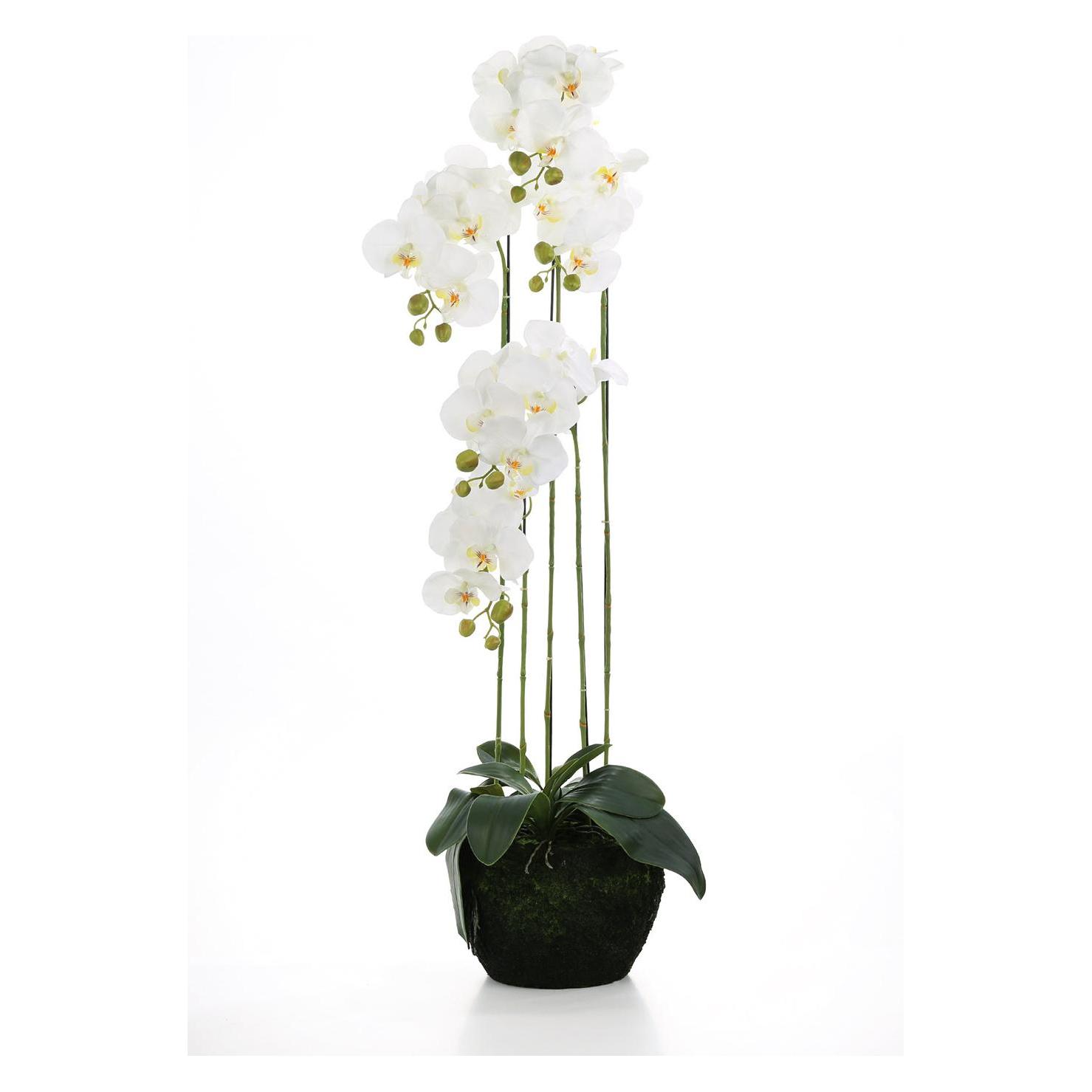 Fink ORCHIDEE/Moosball,Phalaenopsis,weiss,H.110cm (110 cm) (34004291)