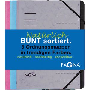 Pagna Ordnungsmappe Trend 44005-00, Set, A4, aus Karton, farbig sortiert, 12 Fächer, 3 Stück