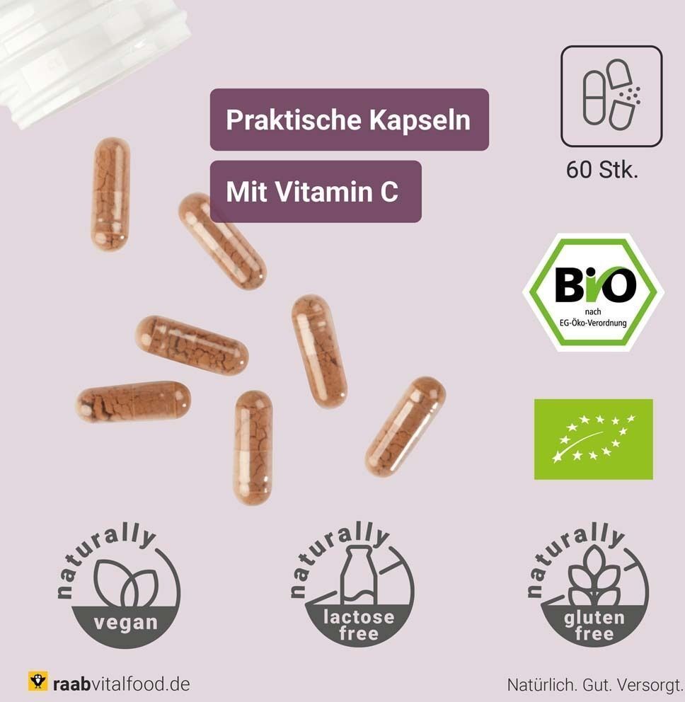 Raab Vitalfood OPC Extrakt Kapseln Bio 2x 2x60 St