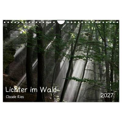 Lichter im Wald (Wandkalender 2027 DIN A4 quer), CALVENDO Monatskalender