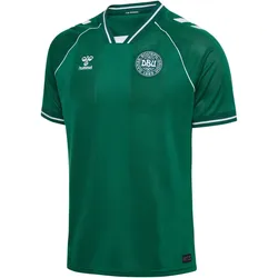 hummel DBU Dänemark kurzarm Torwarttrikot 2026 6140 - evergreen L