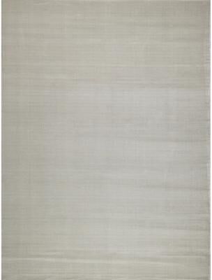 Exquisite Rugs Pavia Modern handloomed Silky Nylon Light Silver Area Rug