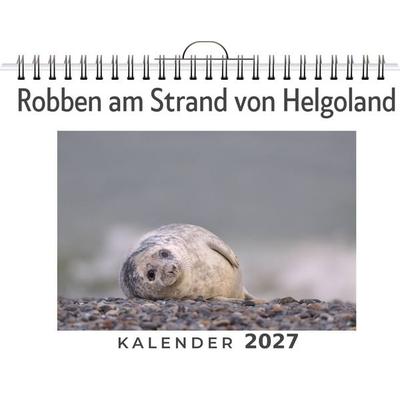 Robben am Strand von Helgoland
