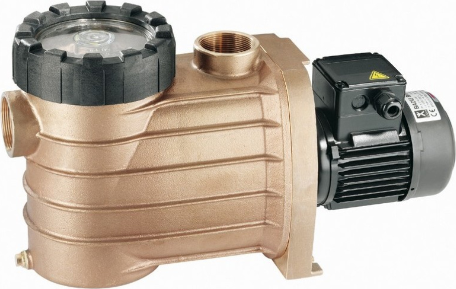 Speck BADU Bronze 7 400 V Schwimmbad Poolpumpe