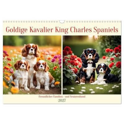 Goldige Kavalier King Charles Spaniels (Wandkalender 2027 DIN A3 quer), CALVENDO Monatskalender