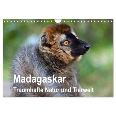 Madagaskar. Traumhafte Natur und Tierwelt (Wandkalender 2027 DIN A4 quer), CALVENDO Monatskalender