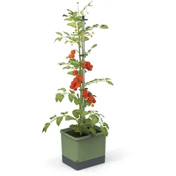 Gusta Garden Tom Tomato Draußen Topfpflanzer Freistehend Polypropylen (PP), Aluminium Grün