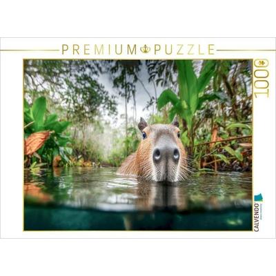 CALVENDO Puzzle Hier schwimmt es sich auch ganz ruhig | 1000 Teile Lege-Größe 64x48cm Foto-Puzzle für glückliche Stunden, Game von , Calvendo Puzzle