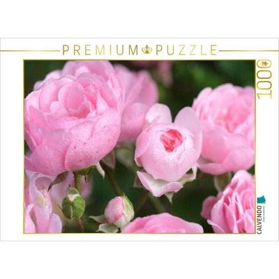 CALVENDO Puzzle Rose 'The Fairy' | 1000 Teile Lege-Größe 64x48cm Foto-Puzzle für glückliche Stunden