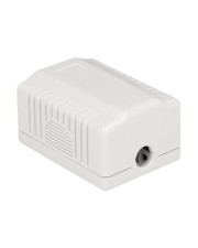 Delock Ausgang Oberfläche montierbar Wand RJ-45 weiß (86196)