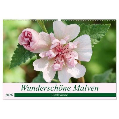 Wunderschöne Malven (Wandkalender 2026 DIN A2 quer), CALVENDO Monatskalender
