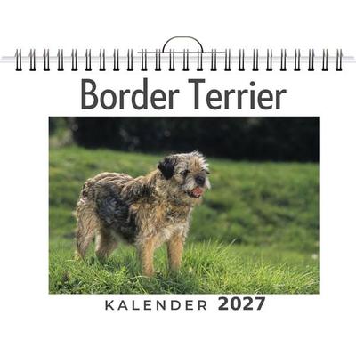 Border Terrier