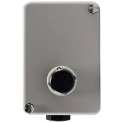 Jumo 60000190 2-Punkt-Regler Temperaturbegrenzer 150 °C (max.) Relais 10 A