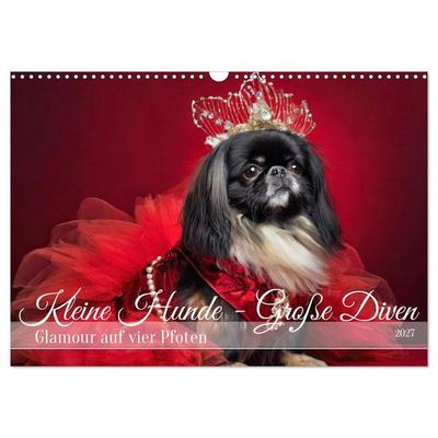 Kleine Hunde - Große Diven (Wandkalender 2027 DIN A3 quer), CALVENDO Monatskalender