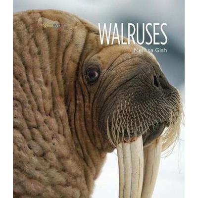 Walruses, Taschenbuch von Melissa Gish, Creative Company, 978-0-89812-844-4
