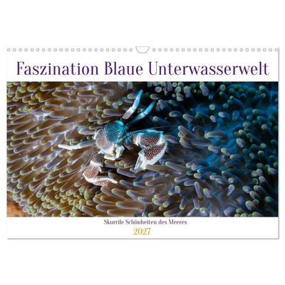 Faszination blaue Unterwasserwelt (Wandkalender 2027 DIN A3 quer), CALVENDO Monatskalender