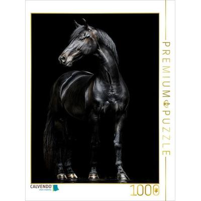 CALVENDO Puzzle Schwarze Eleganz - Pferde Rappe | 1000 Teile Lege-Größe 64x48cm Foto-Puzzle für glückliche Stunden