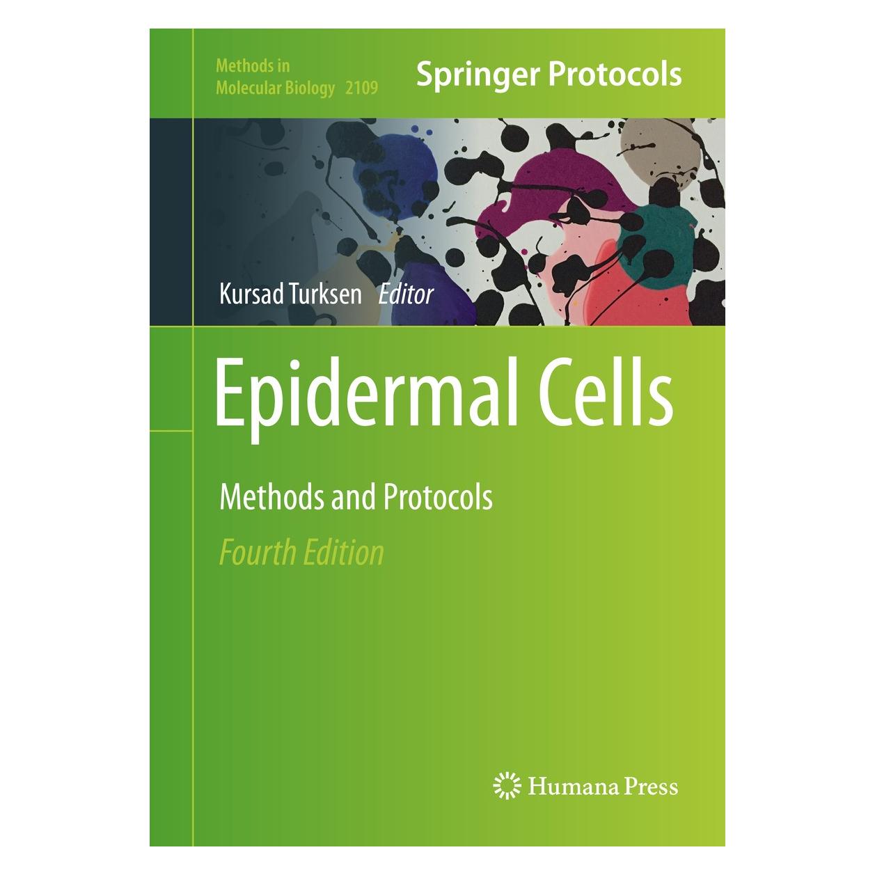 Springer Epidermal Cells (Englisch, Hardcover, Kursad Turksen) (9781071602508)