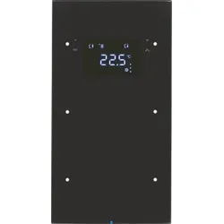 Berker Touchsensor 2-fach Glas schwarz 75642055
