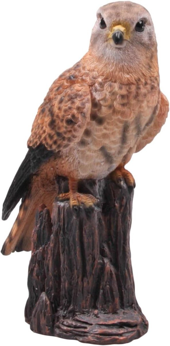 Real Life Design Kat Beeldje Decoratie Figuur Meerkleurig Hoogte: 22 cm