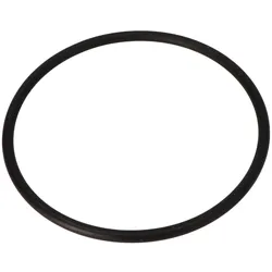 O-Ring für Klarsichteinsatz 105 x 5 mm AquaPlus und Magic II