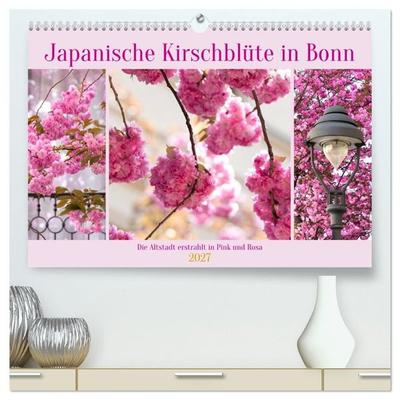 Japanische Kirschblüte in Bonn (hochwertiger Premium Wandkalender 2027 DIN A2 quer), Kunstdruck in Hochglanz