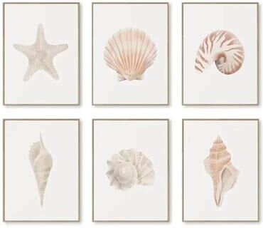 Uplifted Finds Watercolor Seashore Canvas   Coastal Shell & Starfish Print   Executive Studio & Beachfront Sanctuary Decor 7 6 Pcs 40 X 60 Cm No Frame