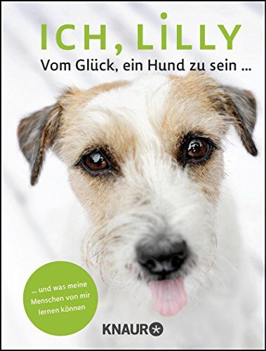 Stefanie Reeb - Ich, Lilly: Vom Glück, ein Hund zu sein und was meine Menschen von mir lernen können - Preis vom 10.10.2026 11:48:34 h
