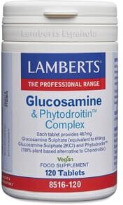 Lamberts Complexo De Glucosamina E Phytodroitin 120 Tabs