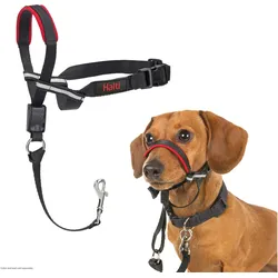 Company of Animals Halti Optifit Kopfgeschirr (S, Hund), Halsband + Leine