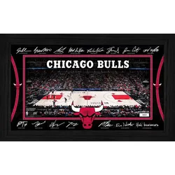 Offizielles Chicago Bulls Signature Court Poster