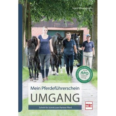 Mein Pferdeführerschein Umgang, Taschenbuch von Sigrid Weppelmann, Müller Rüschlikon, 978-3-275-02163-5