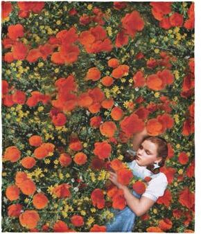 Northwest Wizard Of Oz Silk Touch Throw Blanket