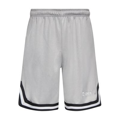 Dropsize "Dropsize Herren Dropsize Logo Mesh Shorts"