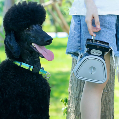 PetsAreLife Handheld Portable Pooper Scooper With Bags Gray