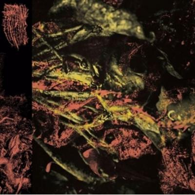 Permanent Destitution - Hissing, CD