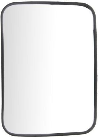 RYWAL LP0314 Wing mirror, driver cabin