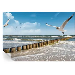 FOTOTAPETE 152x104 cm - Küstenlandschaft