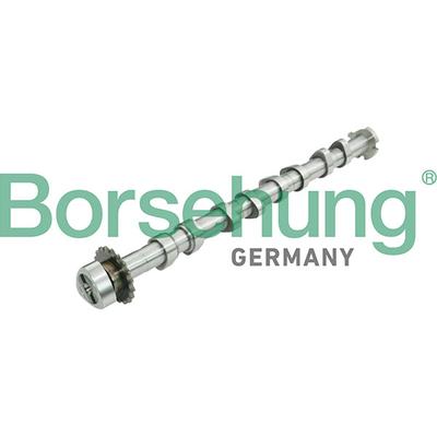 BORSEHUNG Nockenwelle b13031 für VW