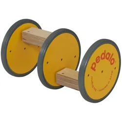 Pedalo, Balance Trainer