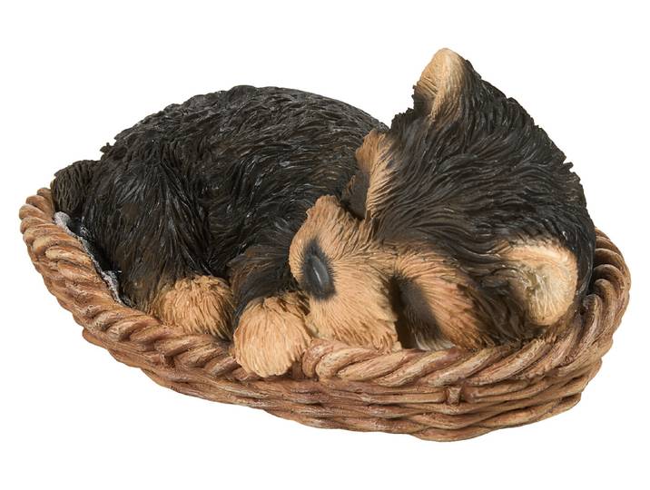 Vivid Yorkshire Terrier im Körbchen 18 x 11.3 x 9 cm