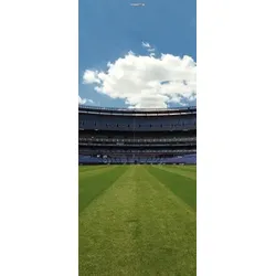 Scheurich Türfolie Stadium, für Innen- Außentüren